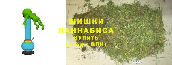 гашик Белокуриха