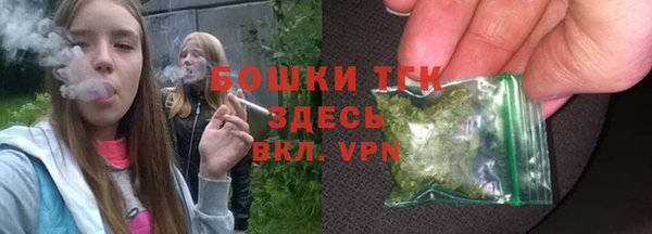 гашик Белокуриха