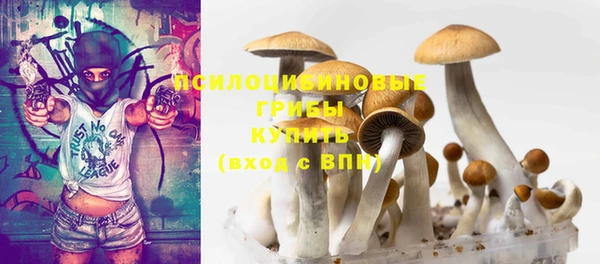 гашик Белокуриха