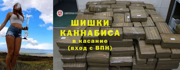 гашик Белокуриха