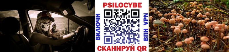 Галлюциногенные грибы прущие грибы  Купить закладки  Тара 